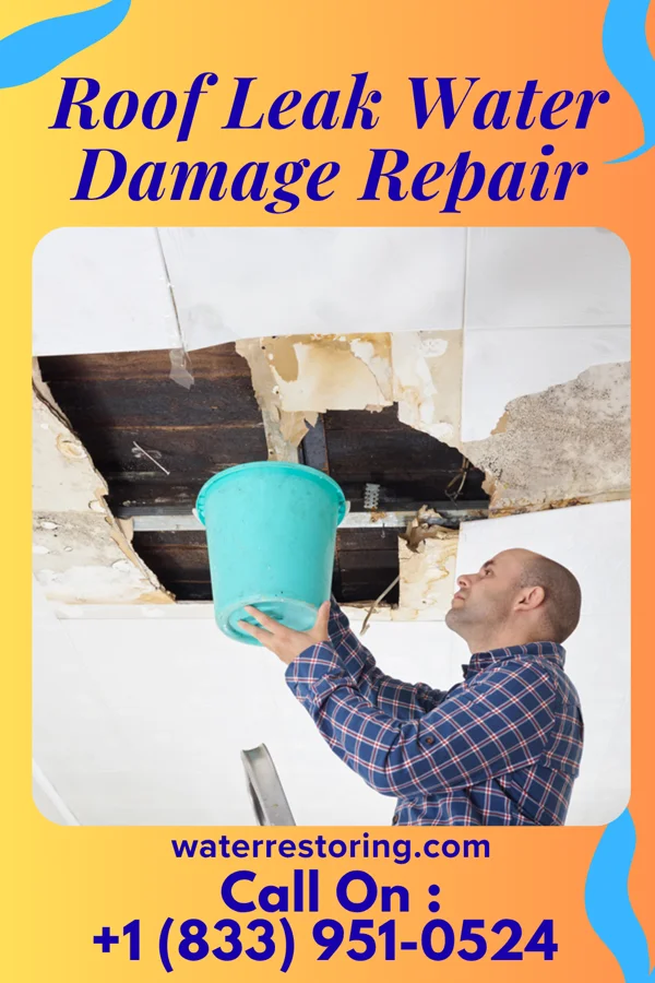 Roof Leak Water Damage Repair in Bloomingdale, OH